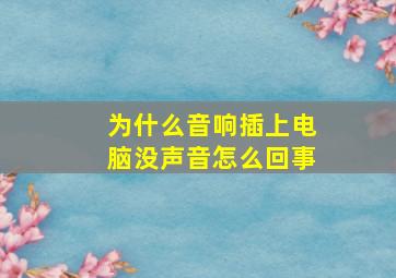 为什么音响插上电脑没声音怎么回事