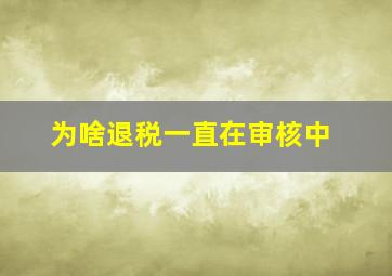 为啥退税一直在审核中