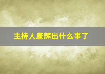 主持人康辉出什么事了