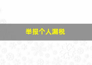 举报个人漏税