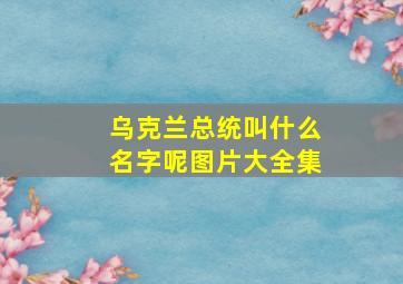 乌克兰总统叫什么名字呢图片大全集