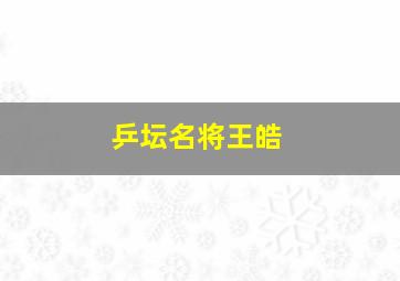 乒坛名将王皓