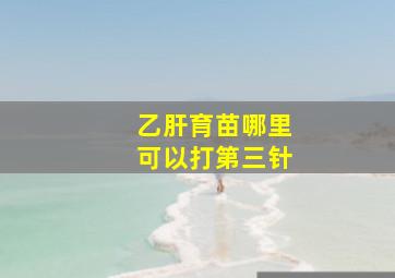 乙肝育苗哪里可以打第三针