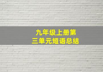 九年级上册第三单元短语总结