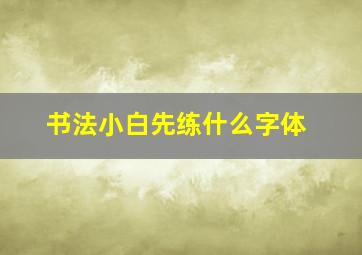 书法小白先练什么字体