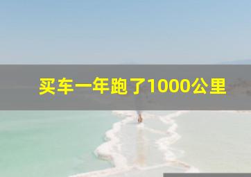 买车一年跑了1000公里