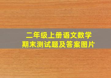 二年级上册语文数学期末测试题及答案图片