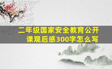 二年级国家安全教育公开课观后感300字怎么写