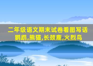 二年级语文期末试卷看图写话鹦鹉,熊猫,长颈鹿,火烈鸟