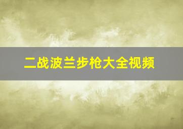 二战波兰步枪大全视频