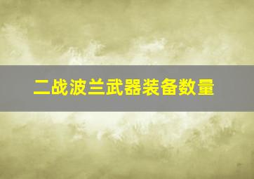 二战波兰武器装备数量