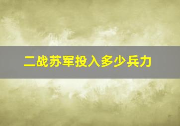 二战苏军投入多少兵力