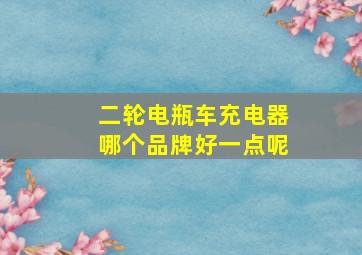 二轮电瓶车充电器哪个品牌好一点呢