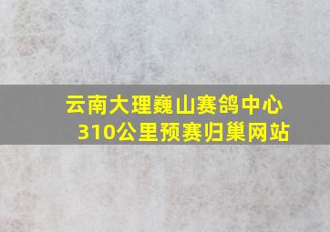 云南大理巍山赛鸽中心310公里预赛归巢网站