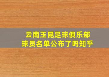 云南玉昆足球俱乐部球员名单公布了吗知乎