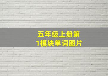 五年级上册第1模块单词图片