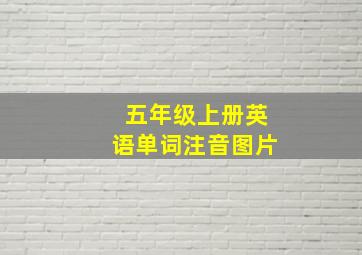 五年级上册英语单词注音图片