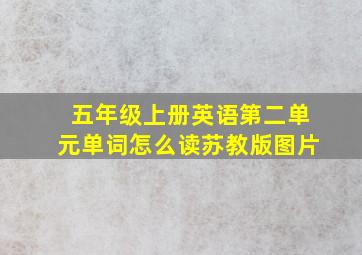 五年级上册英语第二单元单词怎么读苏教版图片