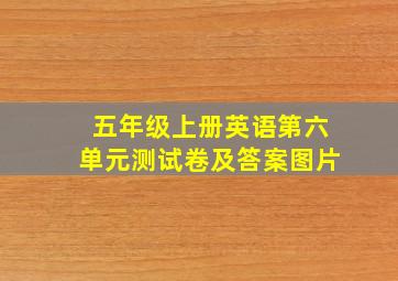 五年级上册英语第六单元测试卷及答案图片