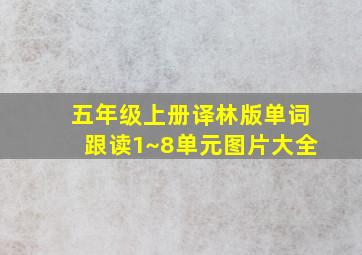 五年级上册译林版单词跟读1~8单元图片大全