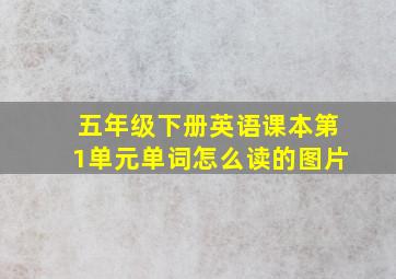 五年级下册英语课本第1单元单词怎么读的图片