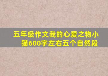 五年级作文我的心爱之物小猫600字左右五个自然段