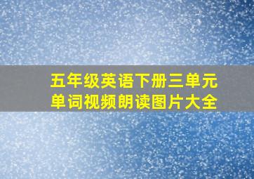 五年级英语下册三单元单词视频朗读图片大全