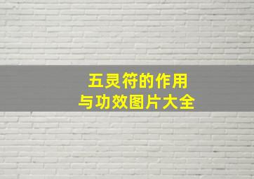 五灵符的作用与功效图片大全