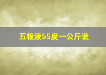 五粮液55度一公斤装