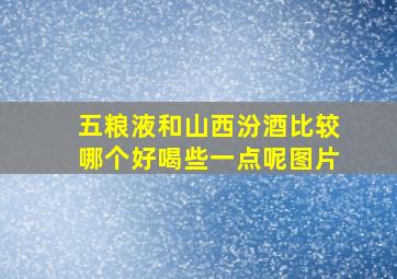 五粮液和山西汾酒比较哪个好喝些一点呢图片