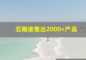 五粮液推出2000+产品