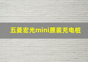 五菱宏光mini原装充电桩