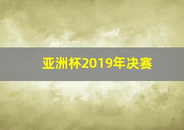 亚洲杯2019年决赛