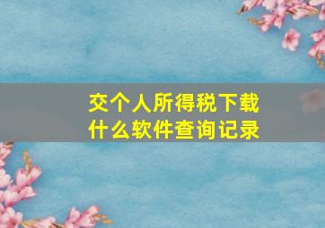 交个人所得税下载什么软件查询记录