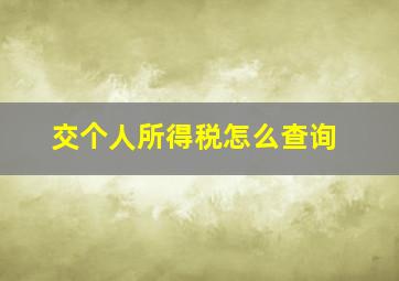 交个人所得税怎么查询