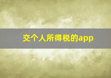 交个人所得税的app