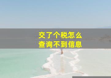 交了个税怎么查询不到信息