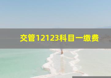 交管12123科目一缴费