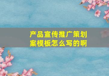 产品宣传推广策划案模板怎么写的啊