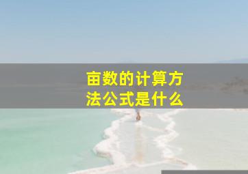 亩数的计算方法公式是什么