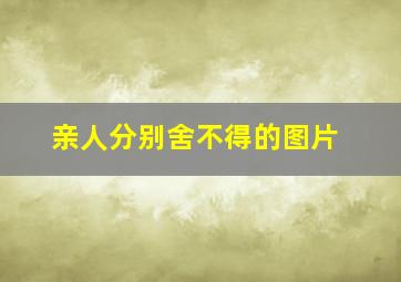 亲人分别舍不得的图片