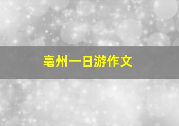 亳州一日游作文