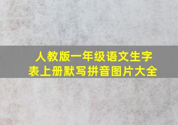 人教版一年级语文生字表上册默写拼音图片大全