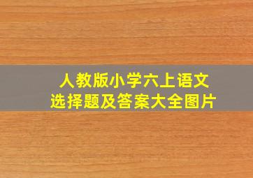 人教版小学六上语文选择题及答案大全图片