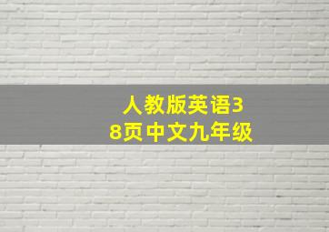 人教版英语38页中文九年级