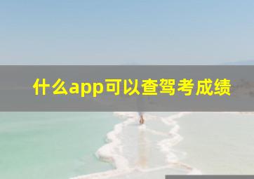 什么app可以查驾考成绩