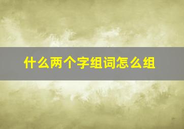 什么两个字组词怎么组