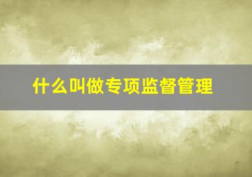 什么叫做专项监督管理