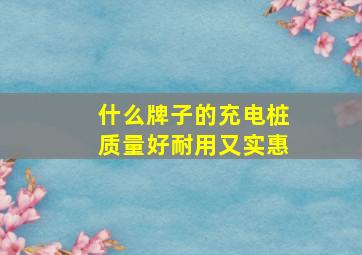 什么牌子的充电桩质量好耐用又实惠