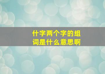 什字两个字的组词是什么意思啊